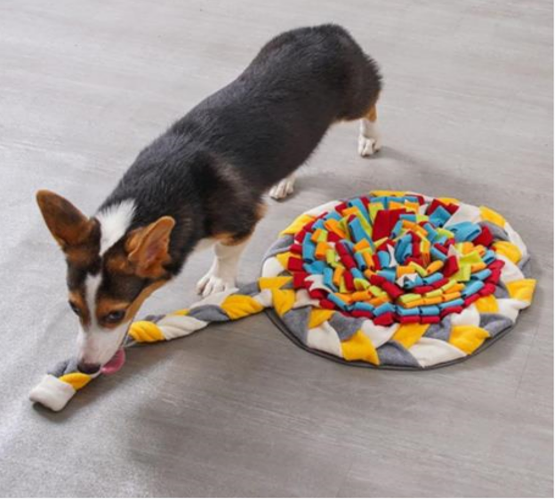 pet mat