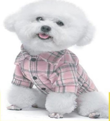Pet clothes
